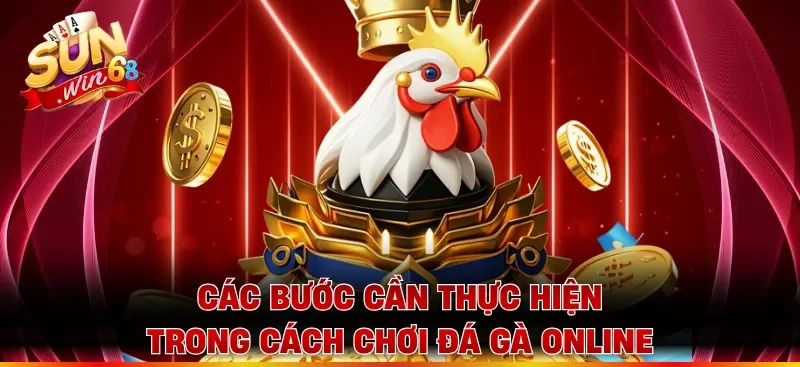 Các bước cần thực hiện trong cách chơi đá gà online