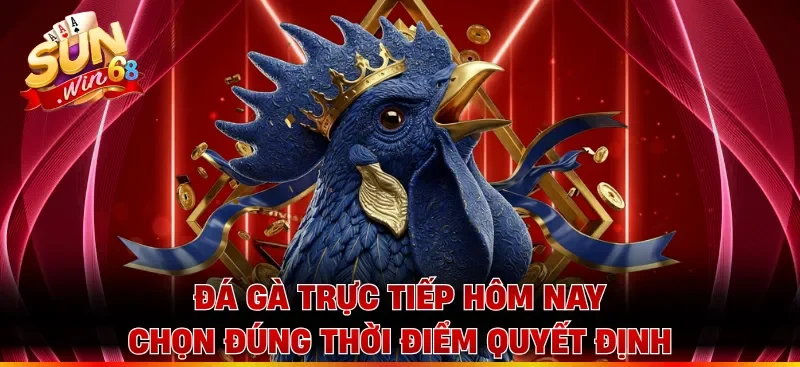 Đá gà trực tiếp hôm nay chọn đúng thời điểm quyết định