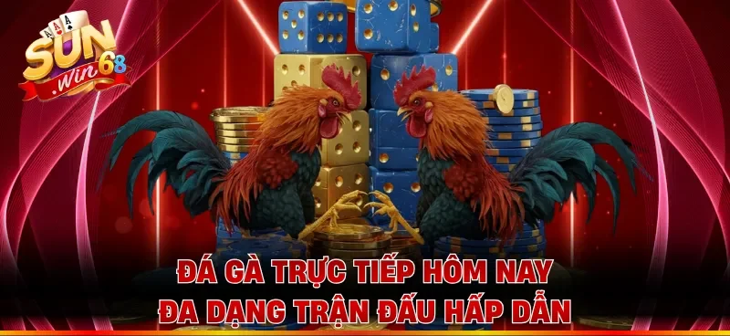 Đá gà trực tiếp hôm nay đa dạng trận đấu hấp dẫn