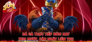 Đá Gà Trực Tiếp Hôm Nay - Xem Mượt, Cập Nhật Liên Tục