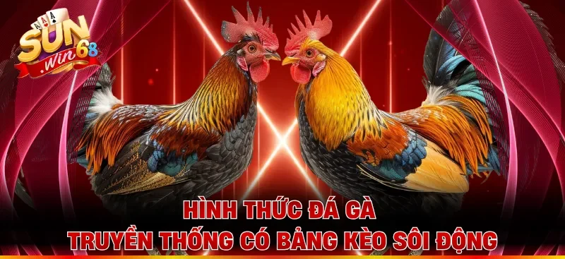 Hình thức đá gà truyền thống có bảng kèo sôi động