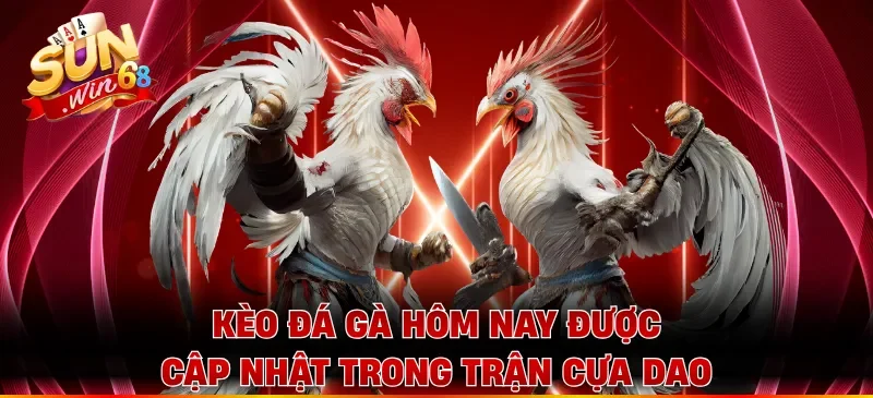 Kèo đá gà hôm nay được cập nhật trong trận cựa dao