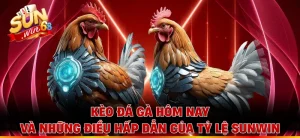 Kèo Đá Gà Hôm Nay Và Những Điều Hấp Dẫn Của Tỷ Lệ Sunwin