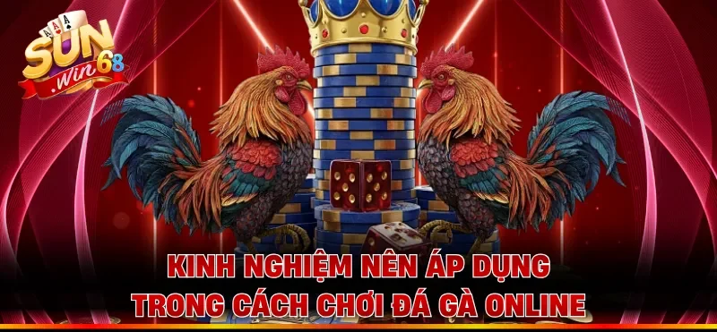 Kinh nghiệm nên áp dụng trong cách chơi đá gà online