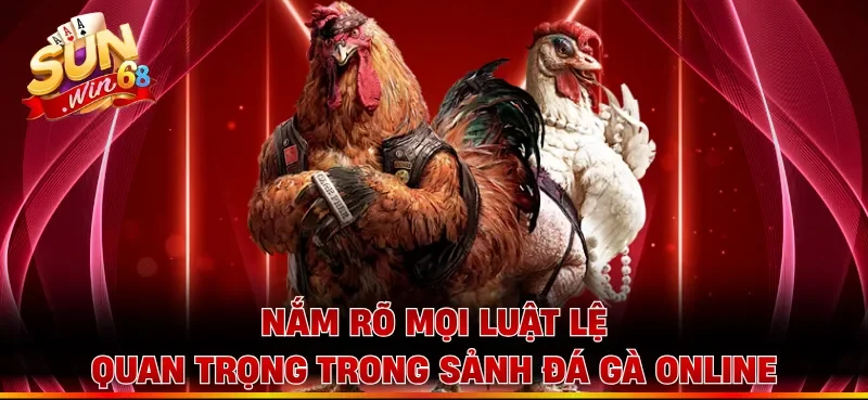 Nắm rõ mọi luật lệ quan trọng trong sảnh đá gà online