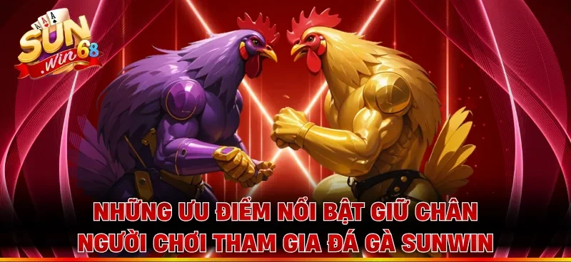 Những ưu điểm nổi bật giữ chân người chơi tham gia đá gà Sunwin