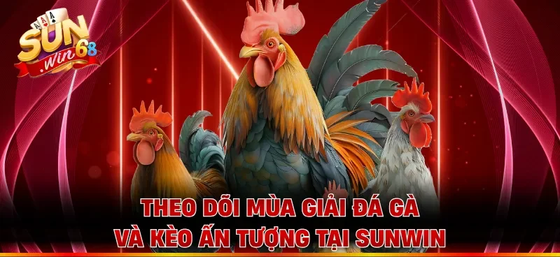 Theo dõi mùa giải đá gà và kèo ấn tượng tại Sunwin