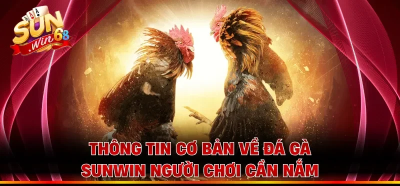 Thông tin cơ bản về đá gà Sunwin người chơi cần nắm